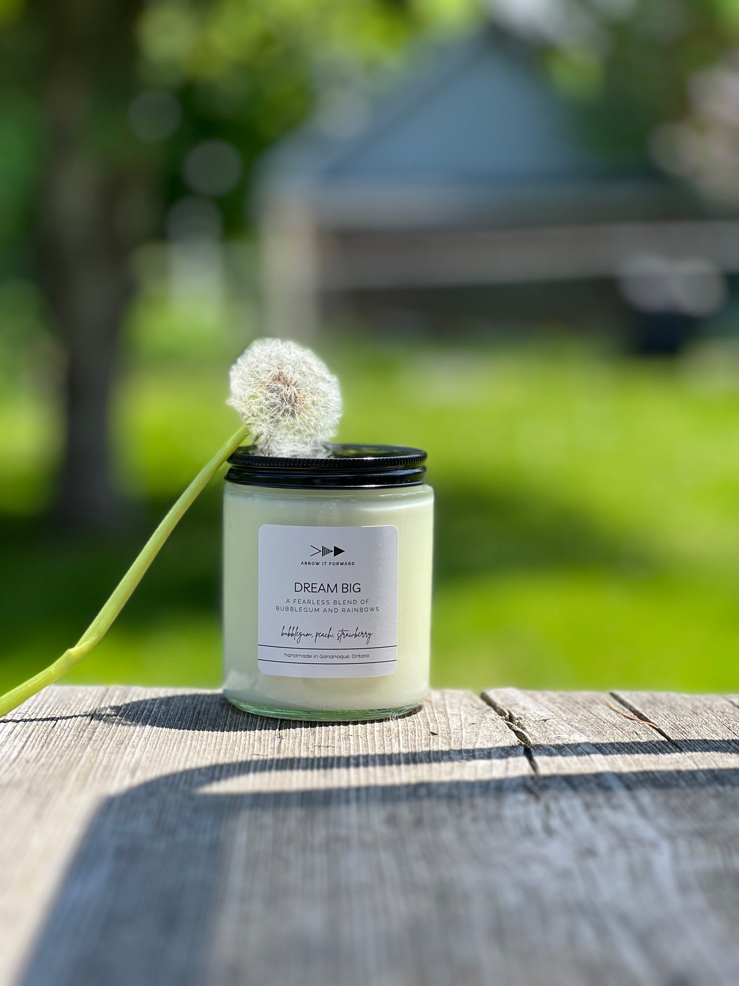 DREAM BIG 8 oz candle
