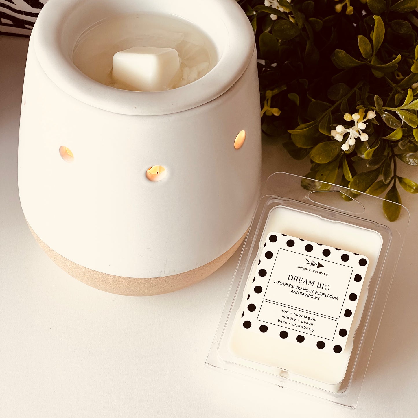 DREAM BIG - 2.5 oz Soy Wax Melts
