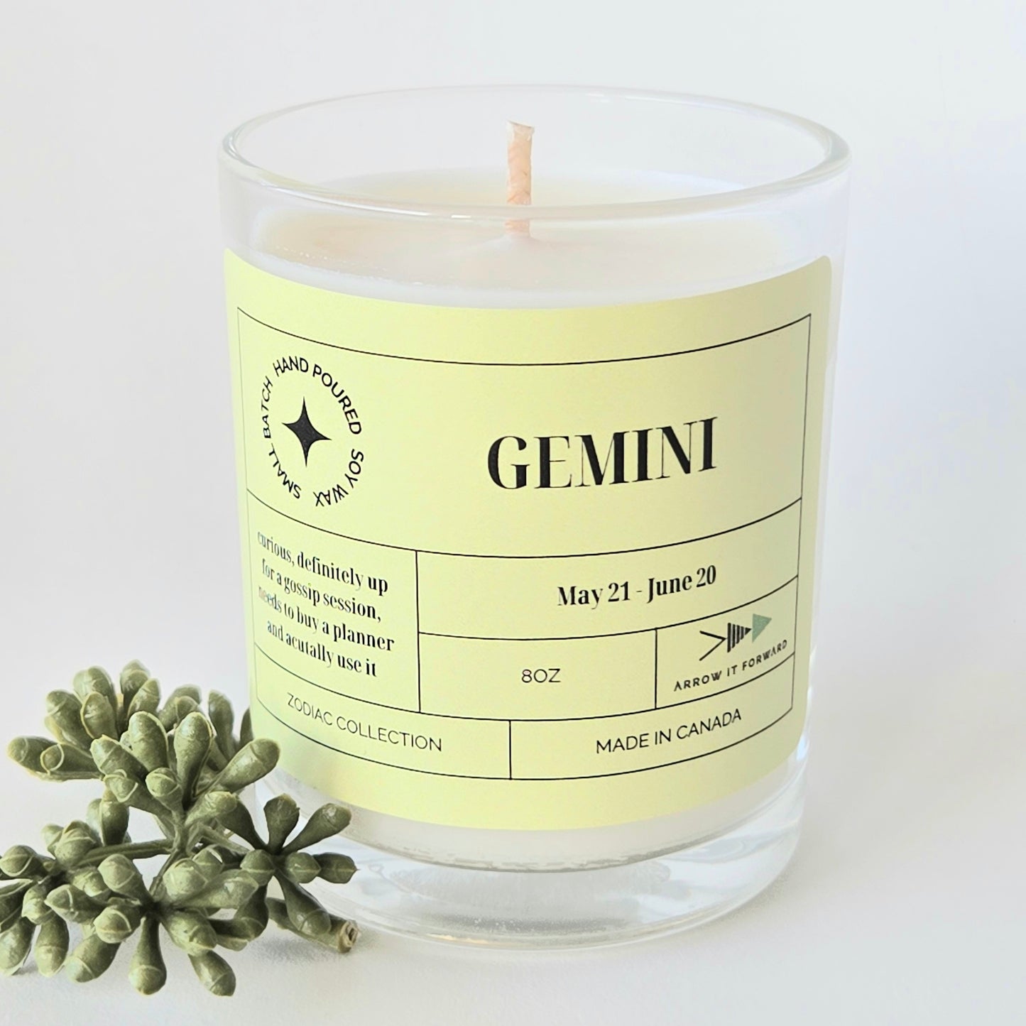 ZODIAC 4 oz candle - GEMINI