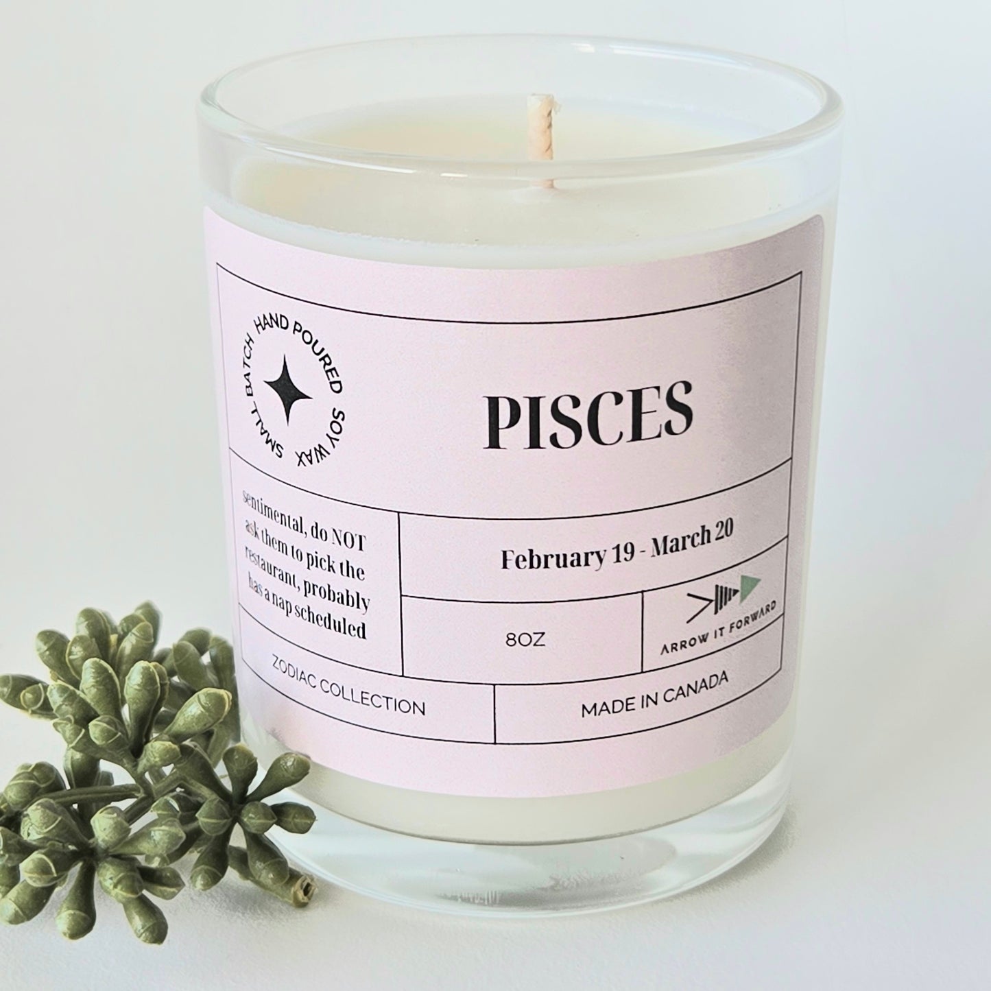 ZODIAC 4 oz candle - PISCES