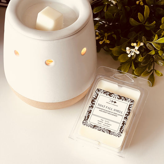 THAT FALL SMELL - 2.5 oz  Soy Wax Melts