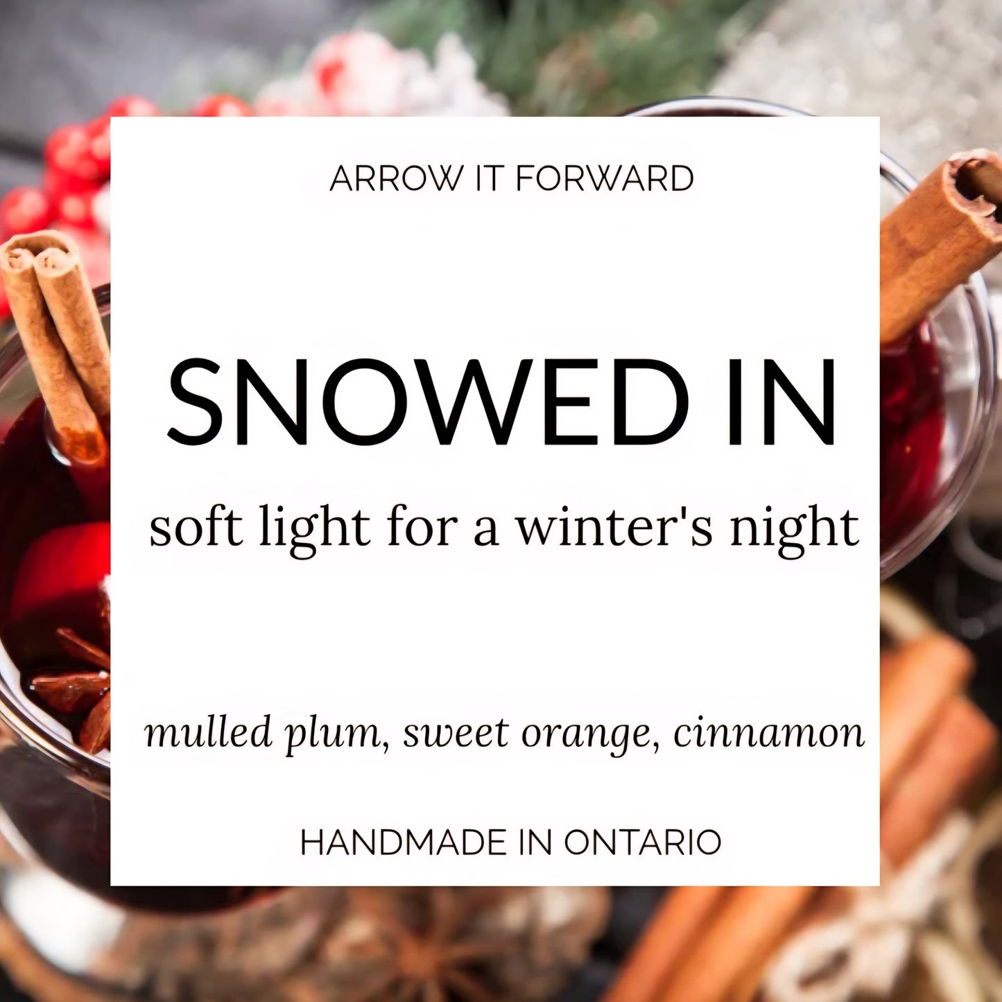 SNOWED IN - 4 oz candle