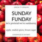 SUNDAY FUNDAY - 2.5oz Soy Wax Melts