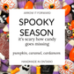 SPOOKY SEASON - 2.5oz Soy Wax Melts