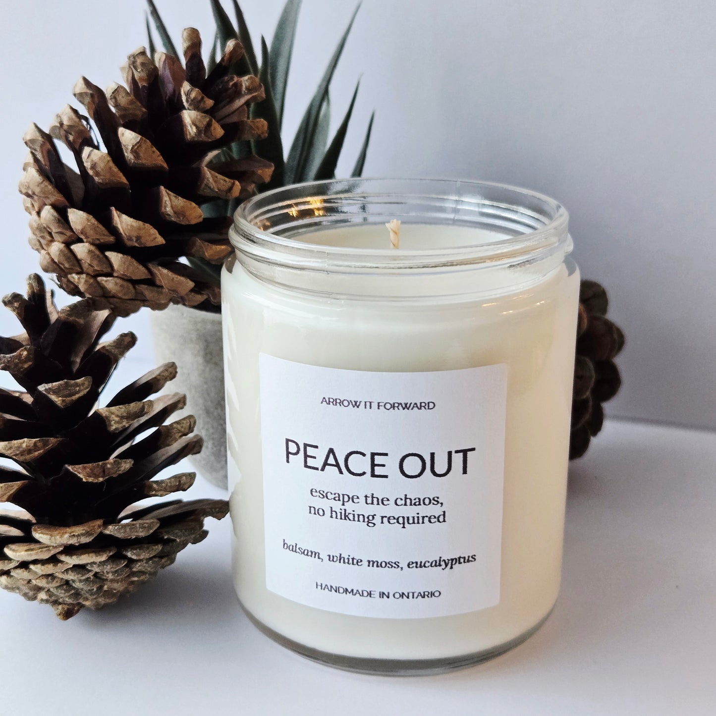 PEACE OUT - 8oz candle